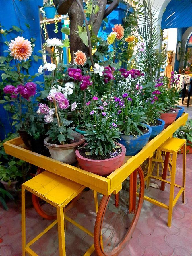 The Coral House Homestay By The Taj Агра Екстериор снимка