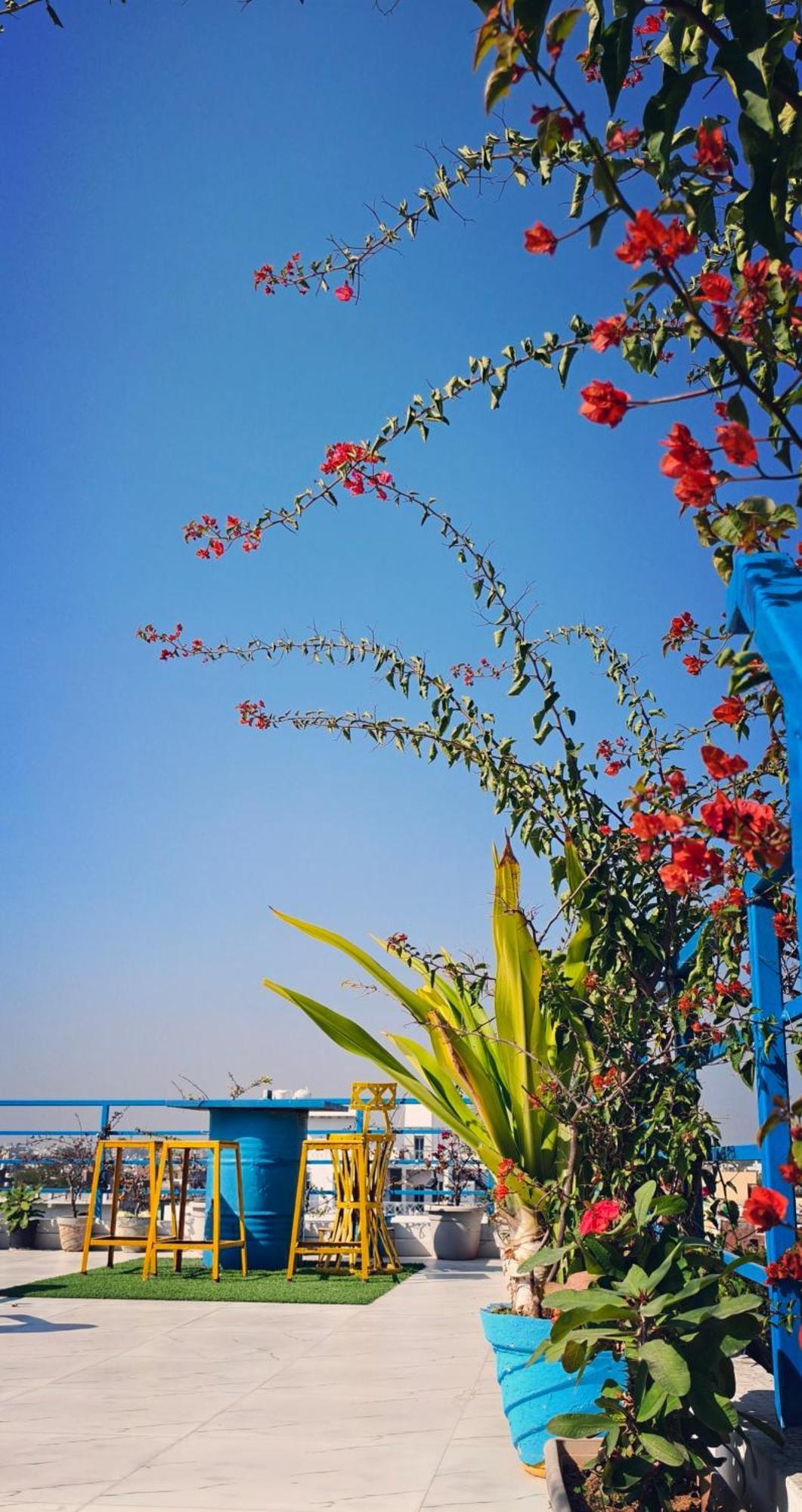 The Coral House Homestay By The Taj Агра Екстериор снимка